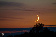 Waxing Crescent Moon & Venus Conjunction 15th July 2018