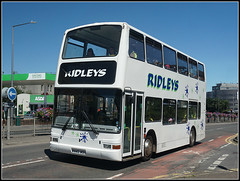 Buses - Ridleys