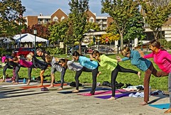 2016 Yoga In The Park