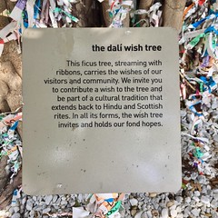 The Dali Wish Tree