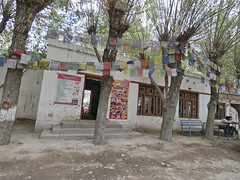 Ladakh - Shey