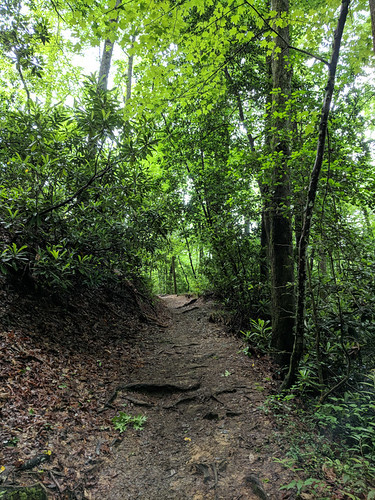 Harper Creek trail
