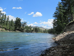 Yellowstone NP Fishing And Wildlife 7/26/18