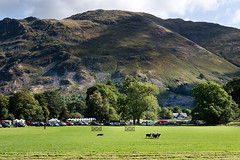 Patterdale Dog Day and Matterdale and St Johns Sheep Show 2018