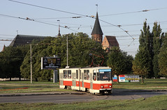 Trams in Kaliningrad