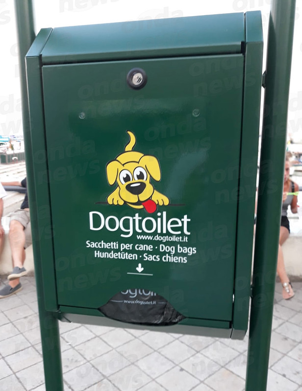 dog-toilet-scario-3