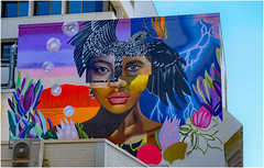 Darwin Street Art Project - September 2018