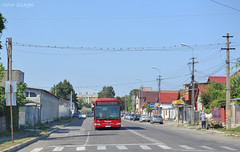 Buses in Buzău