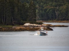 Maine Coast Lobster Boats