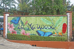 2011-La Mariposa