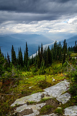 Mount Revelstoke National Park - BC, Canada
