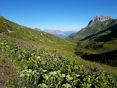 Schweiz - Rund um den Klausenpass