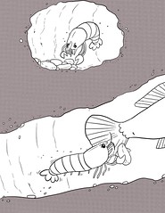 Shrimp Goby Cartoon