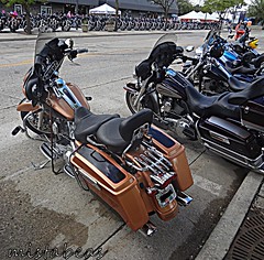 Harley Davidson 115th Anniversary in Thiensville, WI
