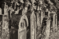 Jüdischer Friedhof Wenkheim
