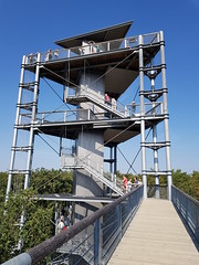 Baumkronenpfad Beelitz-Heilstätten 2018