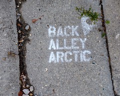 Back Alley Arctic
