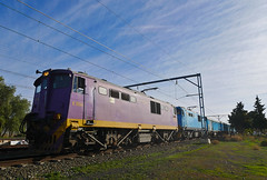 Rail, South Africa