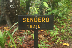 2011-Tortuguero National Park
