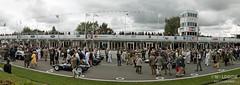 Goodwood Revival - On Track