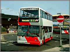 Buses - Northumbria