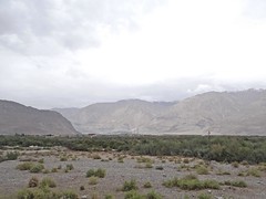 Ladakh - Diskit