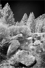 Sierra Landscapes