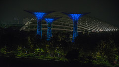 Gardens by the Bay 2019