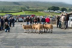 Hawes Auction Mart, Sale of Lambs 2018