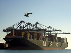 MSC -Mediterranean Shipping Company-