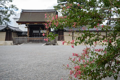 京都・秋 in 2018