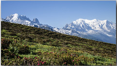 Tour du Mont-Blanc - France -Suisse - Italie