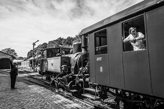 Train 1900, saison 2018
