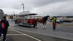 Douglas Bay Horse Tramway