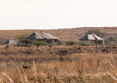 South Africa Safari Aug 18