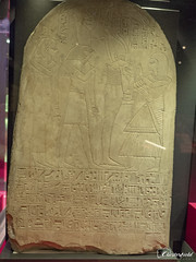 Egyptian Mummy Exhibit