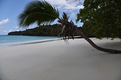 Madagascar (2)