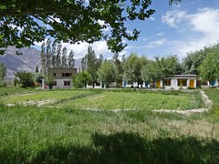 Ladakh - Sumur