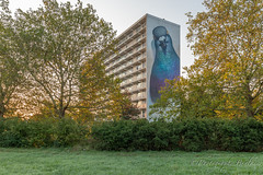 Murals Goes-Middelburg