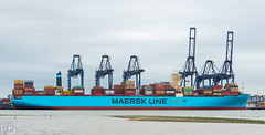 Maersk Hanoi