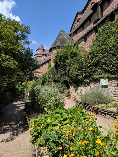 Château du Haut-Kœnigsbourg gardens