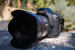 Canon 5D classic + Canon 24-70 F4