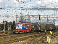 Trains - Lokorail 242
