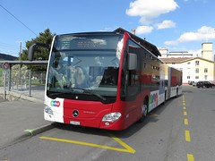 Bus des T.P.F. (Suisse)