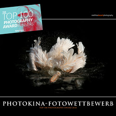 PHOTOKINA Fotowettbewerb