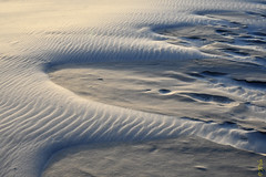 Łeba - dunes