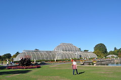 Kew Gardens Sept18