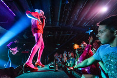 Of Montreal 2018