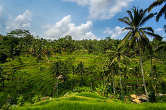 Indonesia '18