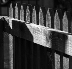 Fences and Walls